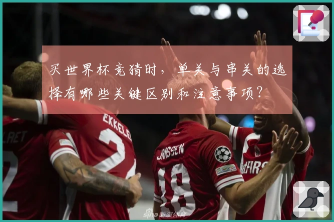 买世界杯竞猜时，单关与串关的选择有哪些关键区别和注意事项？