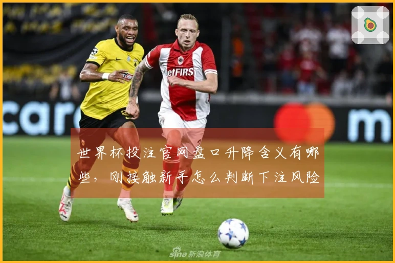 世界杯投注官网盘口升降含义有哪些，刚接触新手怎么判断下注风险